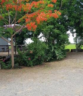 Suphan Buri Hotel | ที รีสอร์ท T Resort Suphanburi