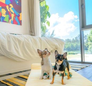 Bang Tao Hotel | Cassia Phuket, part of Banyan Group