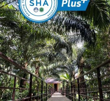 Khlong Sok Resort | Khaosok Good view Resort - SHA PLUS