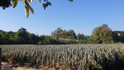 Lampang House | จำค่า ชาเลท์ บ้านพักสวนเกษตร (Jumka Chalet - Home and Farm Stay)