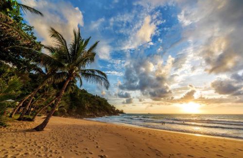 Sa Khu Resort | Andaman White Beach Resort - SHA Plus