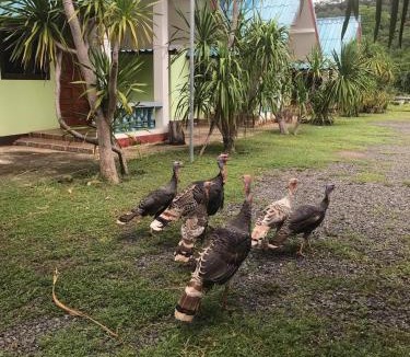 Chong Mek Resort | บ้านภูเคียงน้ำรีสอร์ท ที่พักใกล้วัดเรืองแสง