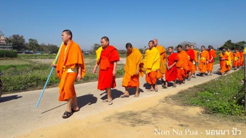 Pua House | NON NA PUA - นอนนา ปัว