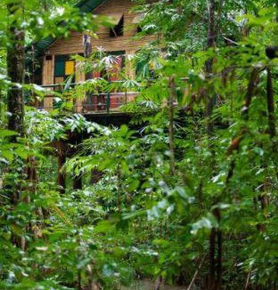 Khlong Sok Resort | Khao Sok Tree House Resort