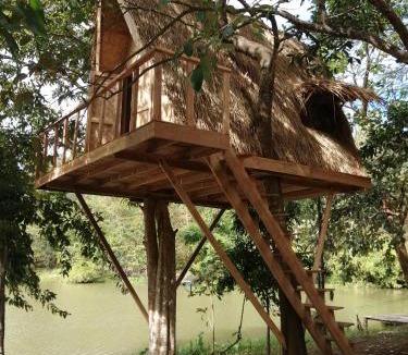 Ban Laongam Cabin | Fandee Island - Treehouses, Tiny Houses & Zipline - Tad Lo, Boloven Loop Pakse
