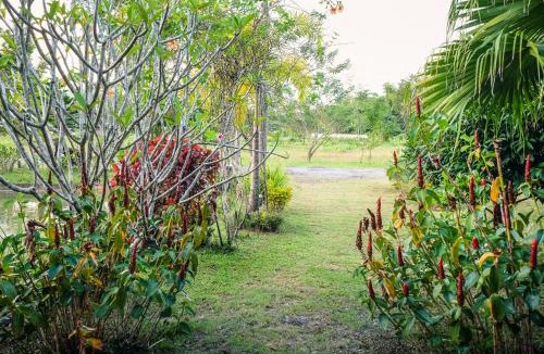 Ban Du House | Rommai Villa Chiang Rai