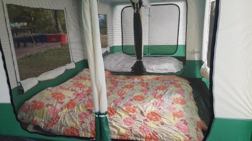 Wang Mi Other | Plantation View Camping