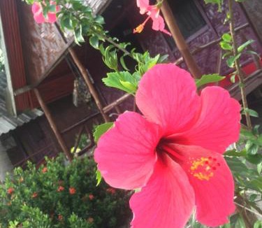 Ko Lanta Cabin | Breizh Cape Beach Bungalows