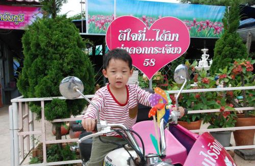 Ban Rai Resort | ฺBaan Rai Ing Doi