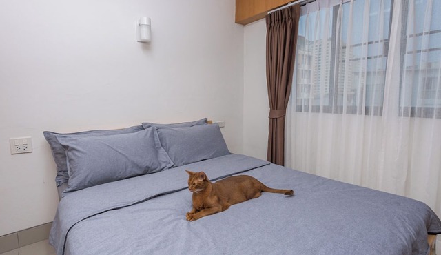 Homies Ratchada Hotel