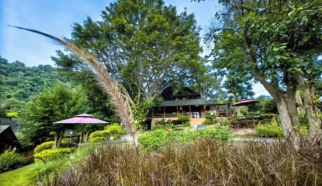 Insda Wellness Resort