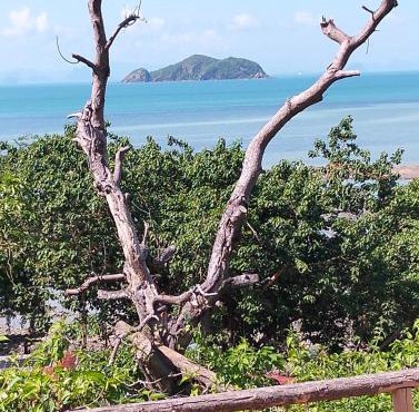 Cliffside sea lodge