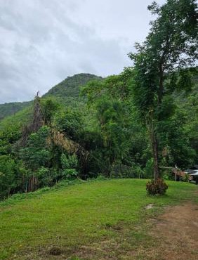 Wildlife Private Camp