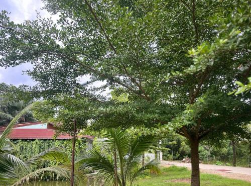 Ao Luek Hideaway