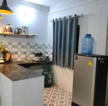 Greene Papion in Battambang