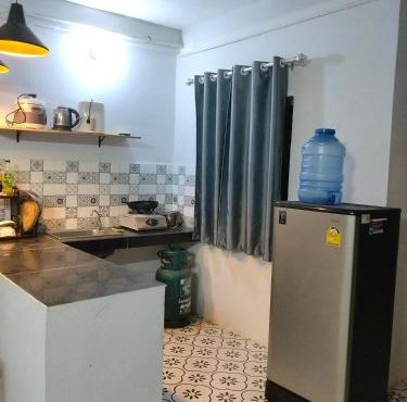 Greene Papion in Battambang