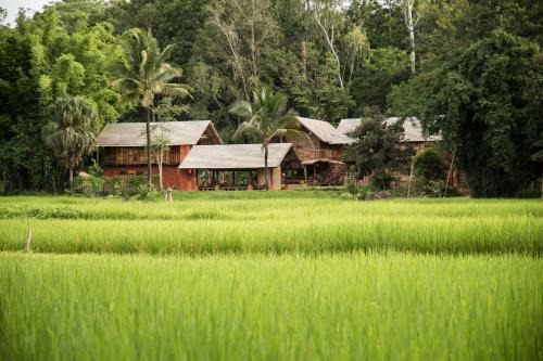 Ahsa Farm Stay in Ban Padu