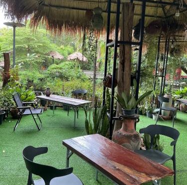 Tree and coffee resort V1 in Prakhon Chai