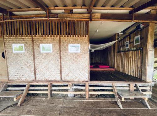 MonNaPaBongPiang Homestay ม่อนนาป่าบงเปียง โฮมสเตย์ in Ban Mae Pan Noi