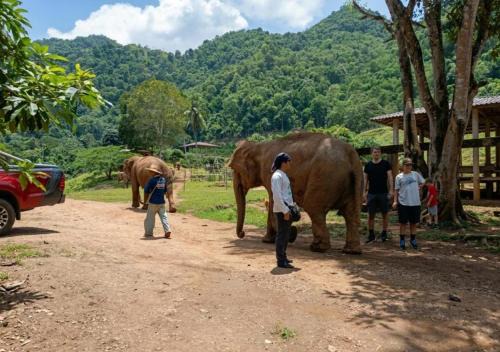 Green Resort Chiang Mai in Mae Taeng