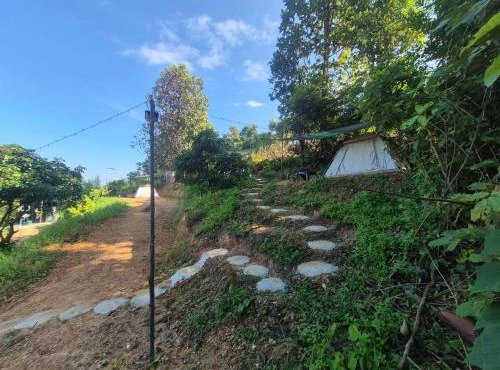 สกายพร้าวแคมป์ปิ้ง in Phrao
