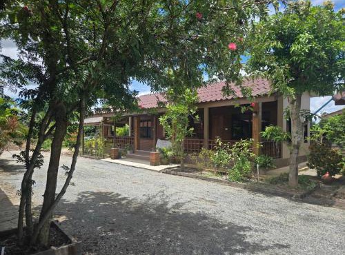 Cocoa Hut in Mae Chan