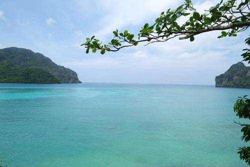 Phi Phi Oceanview Hill Bungalows in Phi Phi Islands