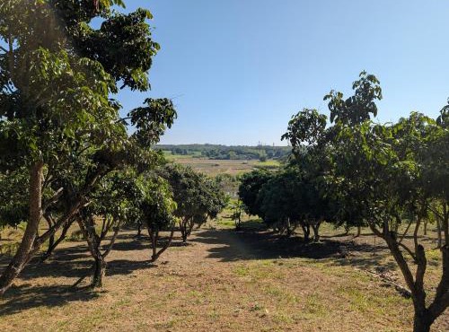Loei Valley Farm Stay