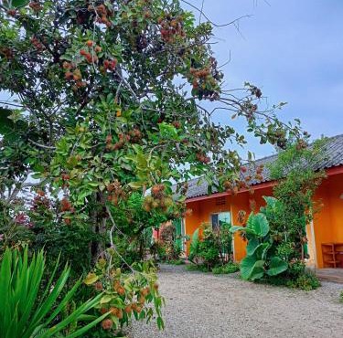 Six Nature Resort in Chiang Rai