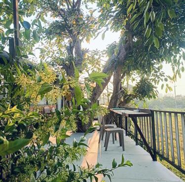 Six Nature Resort in Chiang Rai