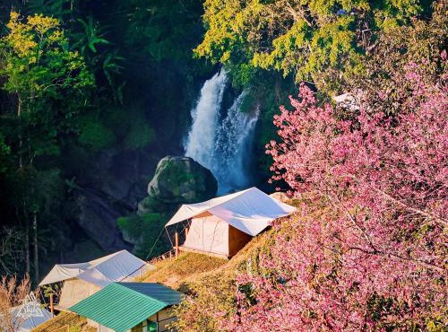 Doi Inthanon Waterfall Garden