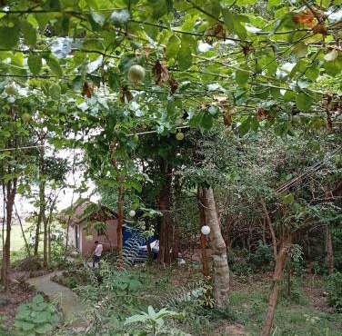 Soundgarden Kohrong in Koh Rong
