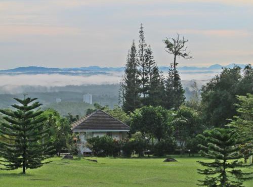 The Natural Garden Resort