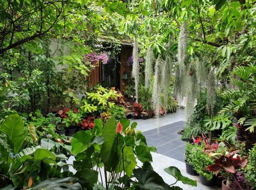 37 Nature House