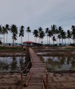 I - Talay Taling Ngam Samui - เขา ป่า นา เล ตลิ่งงาม สมุย in Taling Ngam Beach