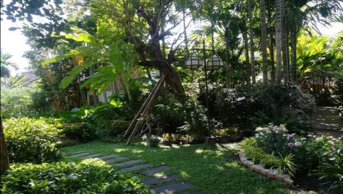 Viang Thapae Resort in Chiang Mai