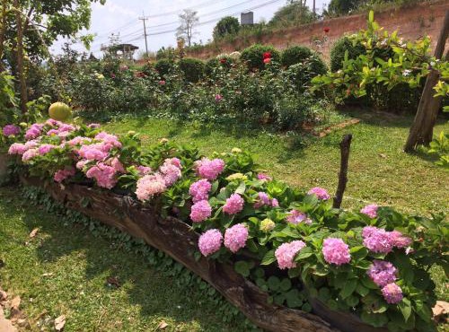 Phurua Bussaba Resort & Spa ภูเรือบุษบารีสอร์ท แอนด์ สปา
