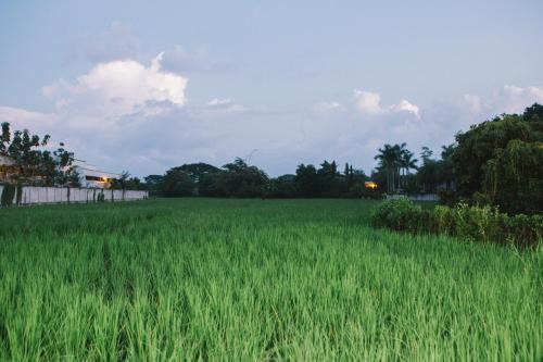 ฺBaan Tonglong Homestay